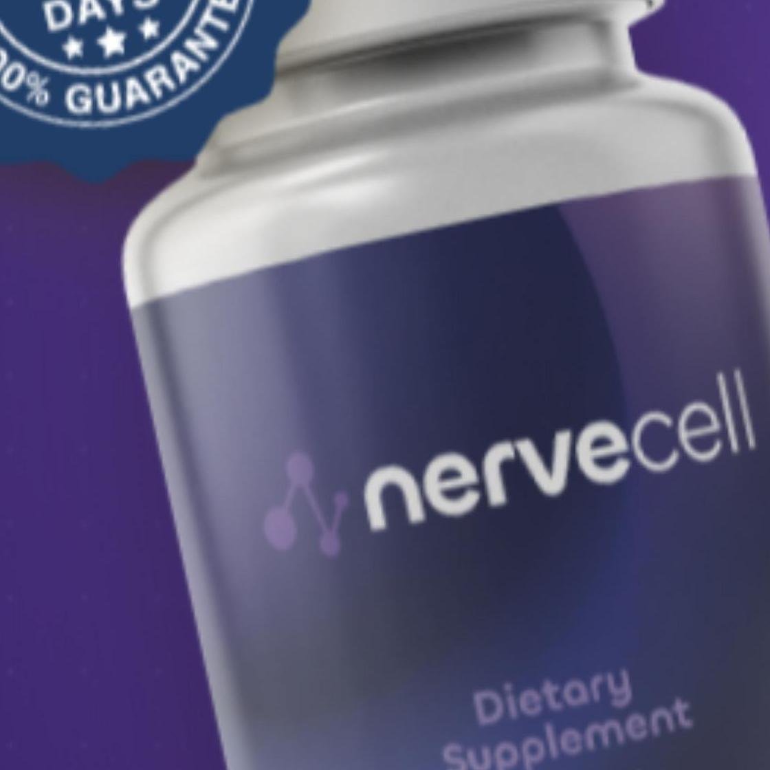 Nerve Cell