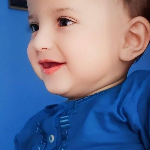 Hamid Malik12