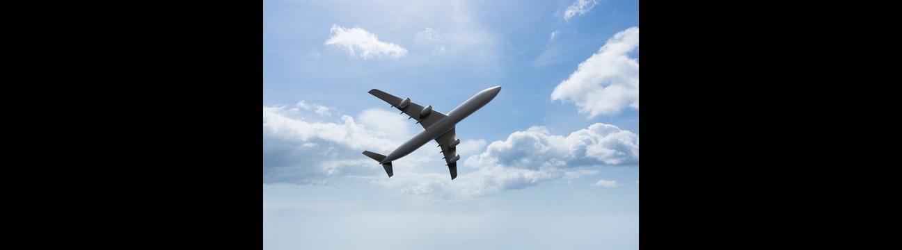 Rushmy Flight