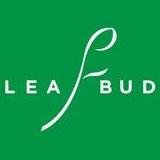 Theleaf Bud