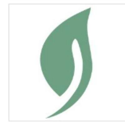Rochester Orthodontics