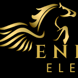 Enrisen Elevator