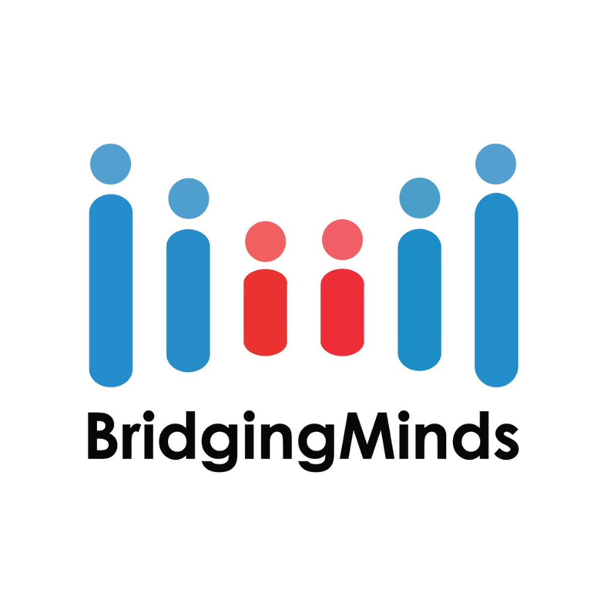 Bridging Minds