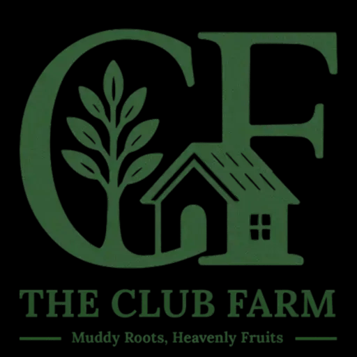 TheClub Farm