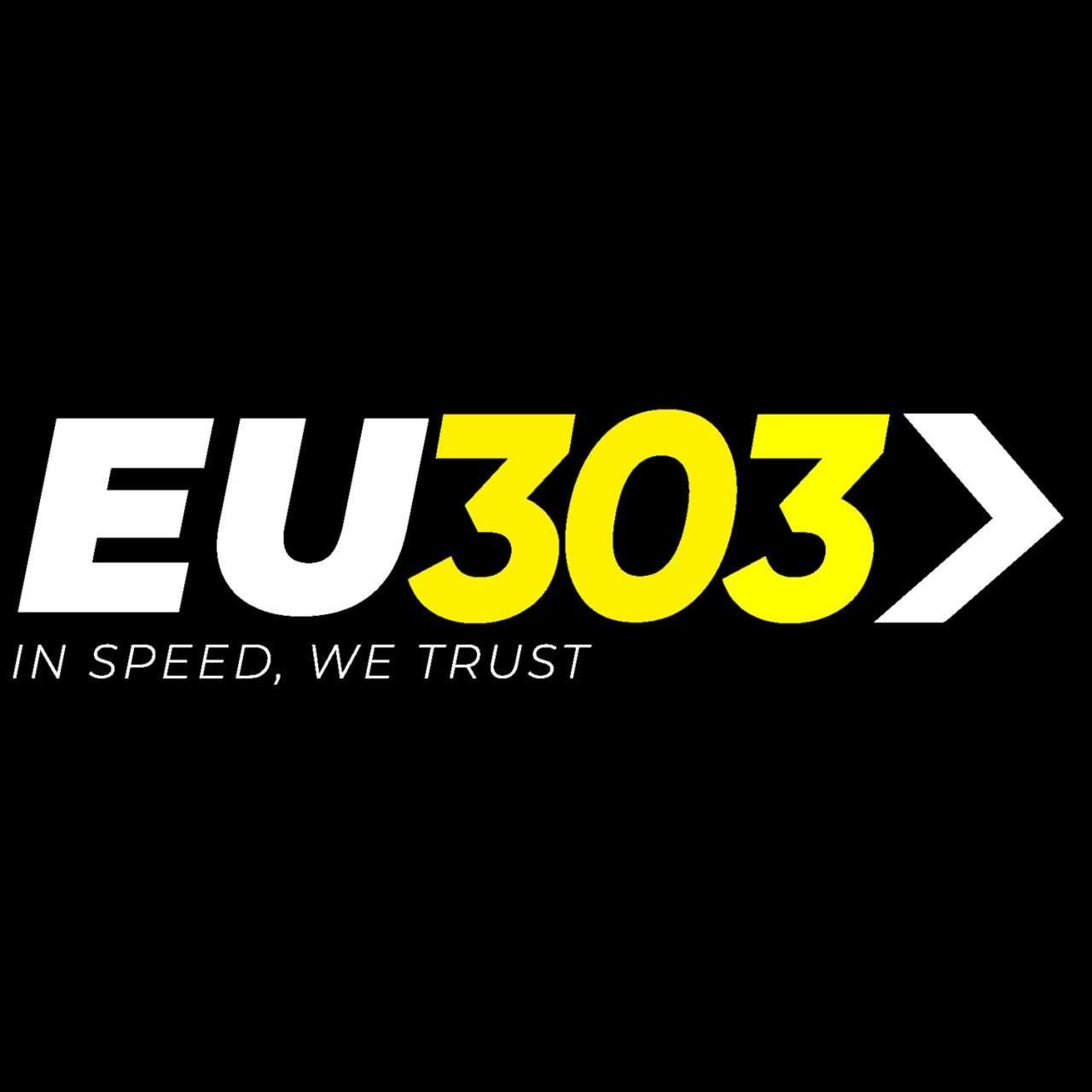 EU303 Game